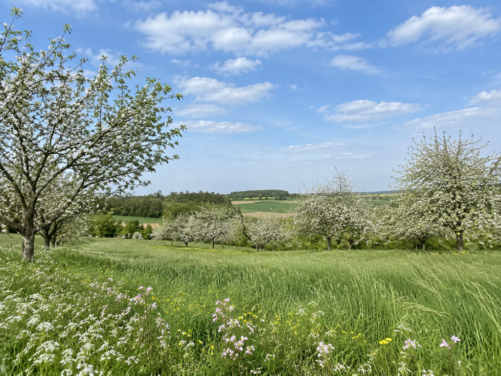 harmokromia.pl